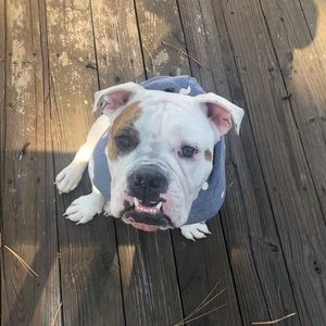 Meet your Posher, Nikita